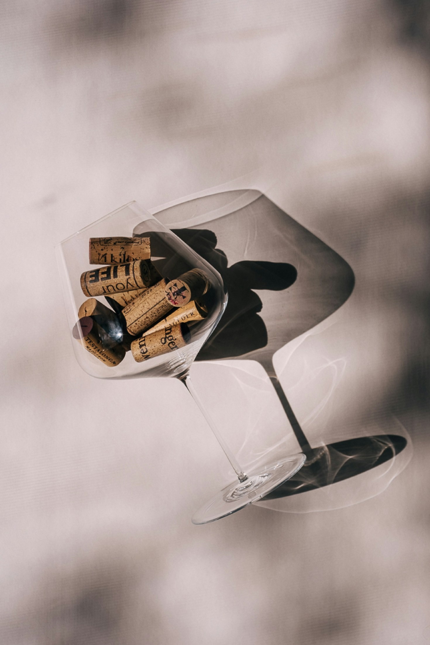 La storia del vino: dalle origini ai giorni nostri